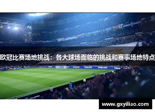 欧冠比赛场地挑战：各大球场面临的挑战和赛事场地特点