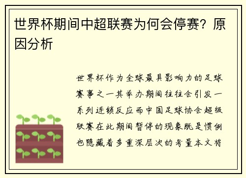 世界杯期间中超联赛为何会停赛？原因分析