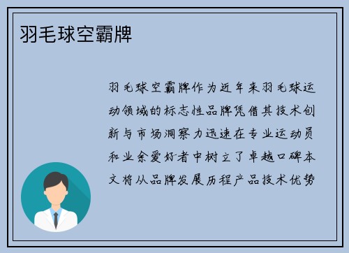 羽毛球空霸牌